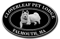 Cloverleaf Pet Lodge Logo